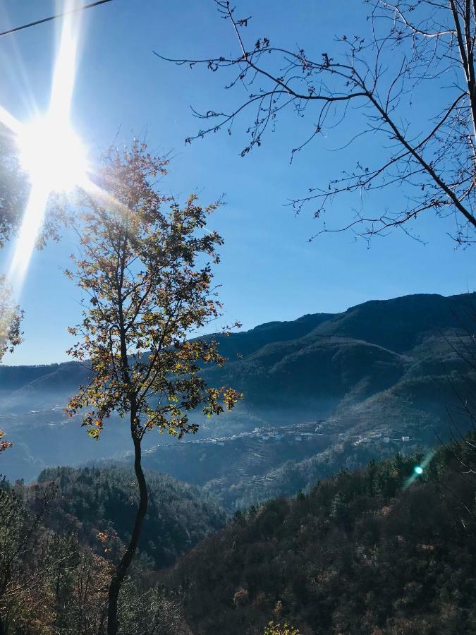"Casa Do Avo Patricio" Mountain Experience Villa Parada  Екстериор снимка